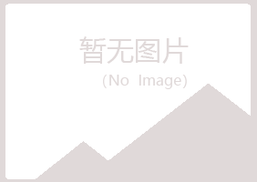 梅州梅江冰夏采矿有限公司